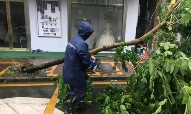 沙瑯鎮(zhèn)：打好防風(fēng)防汛“主動戰(zhàn)”，“小網(wǎng)格”實現(xiàn)“大守護”